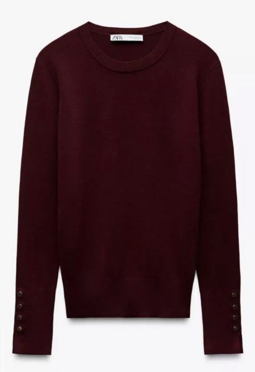 Zara Burgundy Top